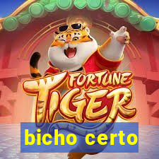 bicho certo